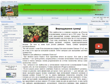 Tablet Screenshot of nikolaj-dikun.at.ua